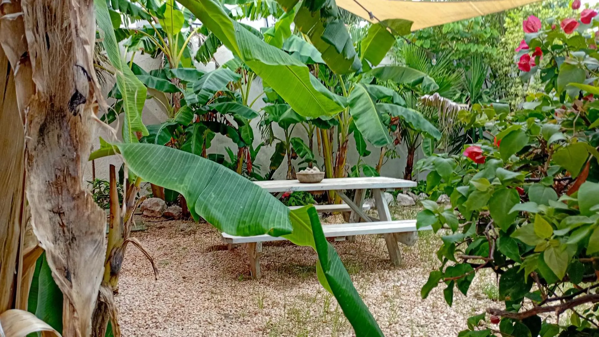 Villa Bellaluna Willemstad Curacao