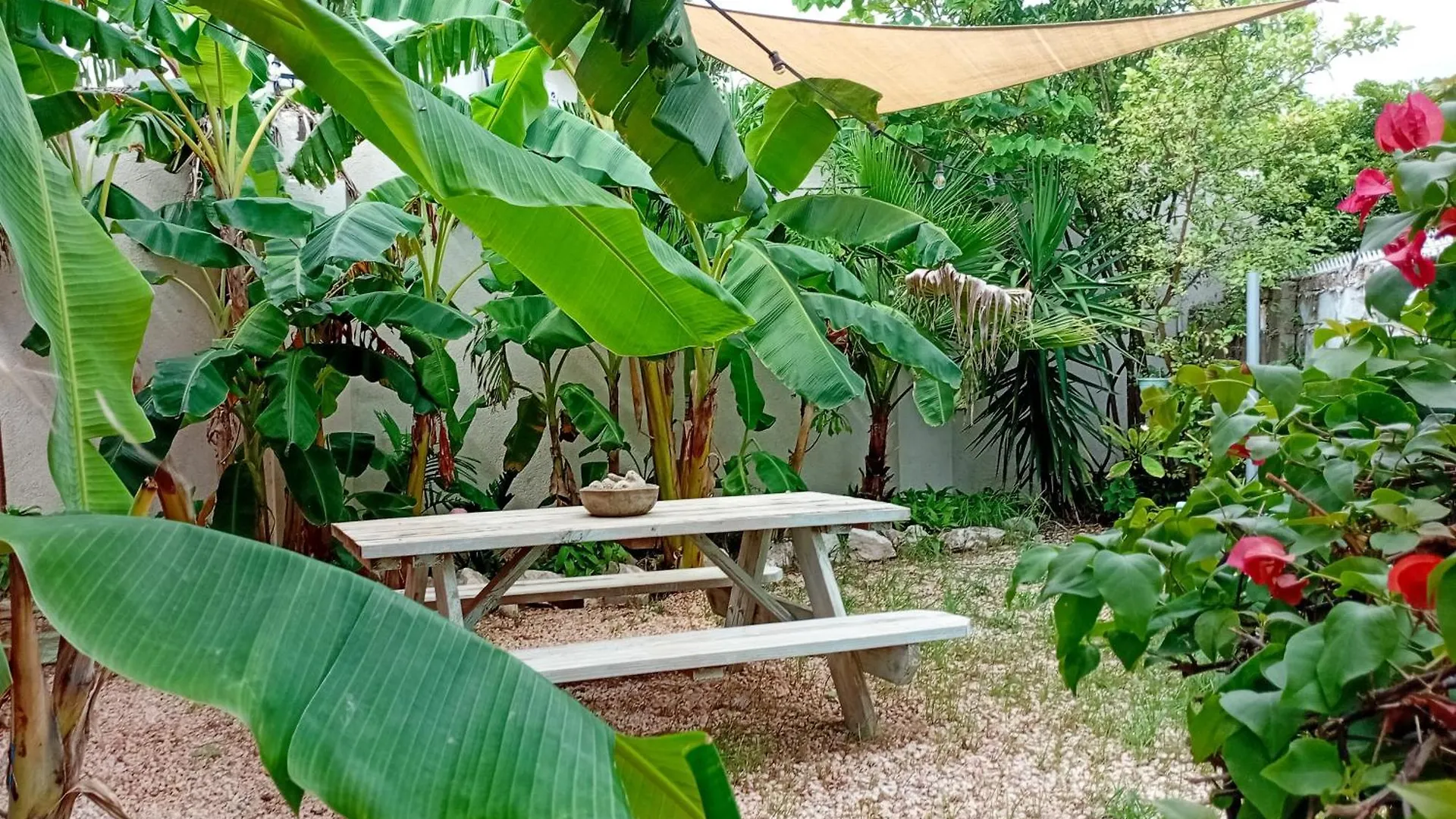 Villa Bellaluna Willemstad