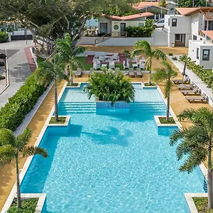 Malvales Willemstad